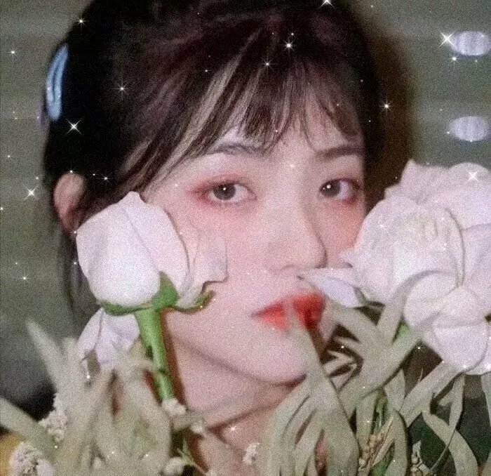 辛亥元勋蒋翊武